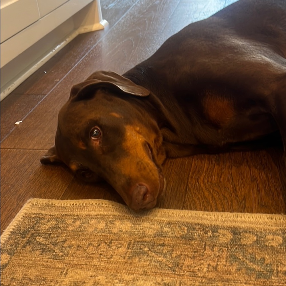 Meet your Posher, Mikey